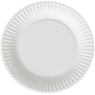 Disposable plates  (4)