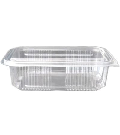 Disposable plastic container